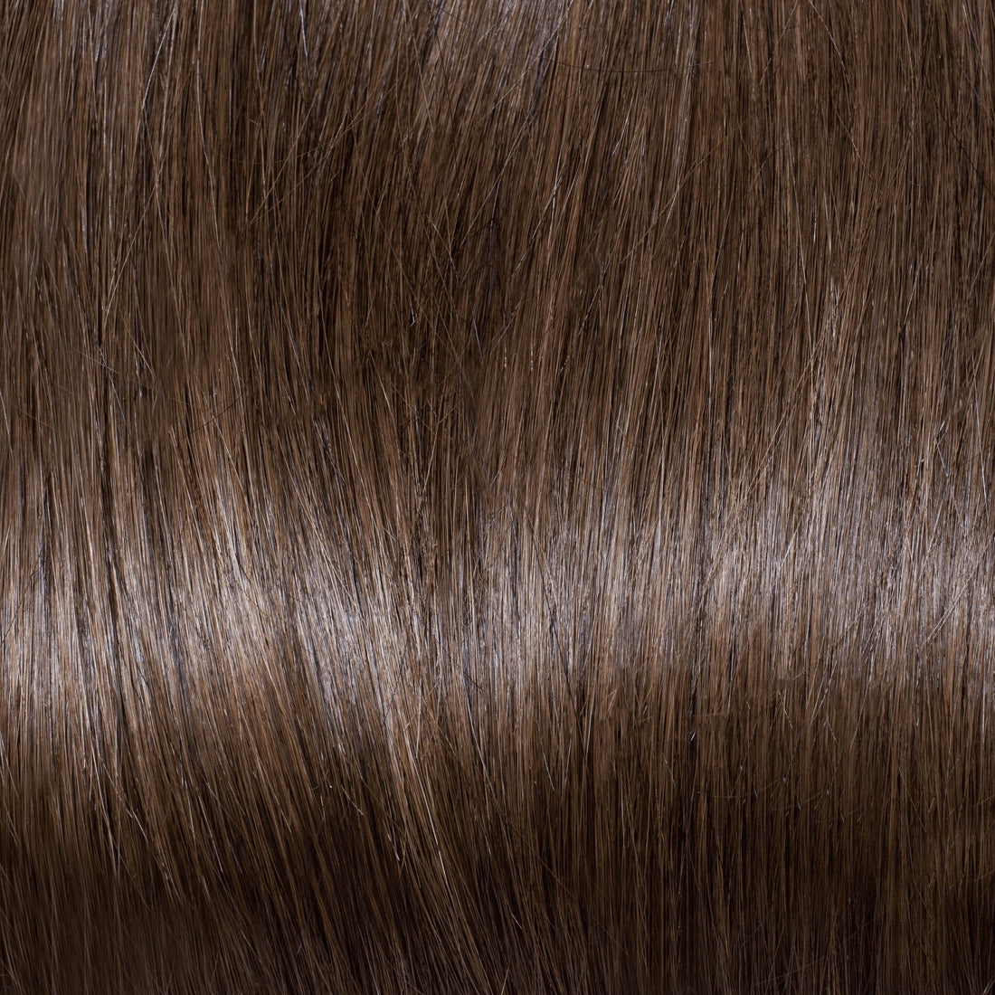 Halo Extensions - Coffee Biscuit